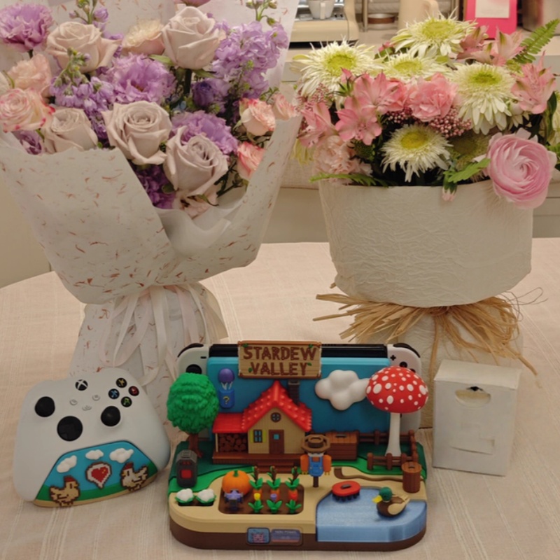 Switch Dock Stardew Valley Çif - Gaming Console Setup incelemesi ve fiyatı